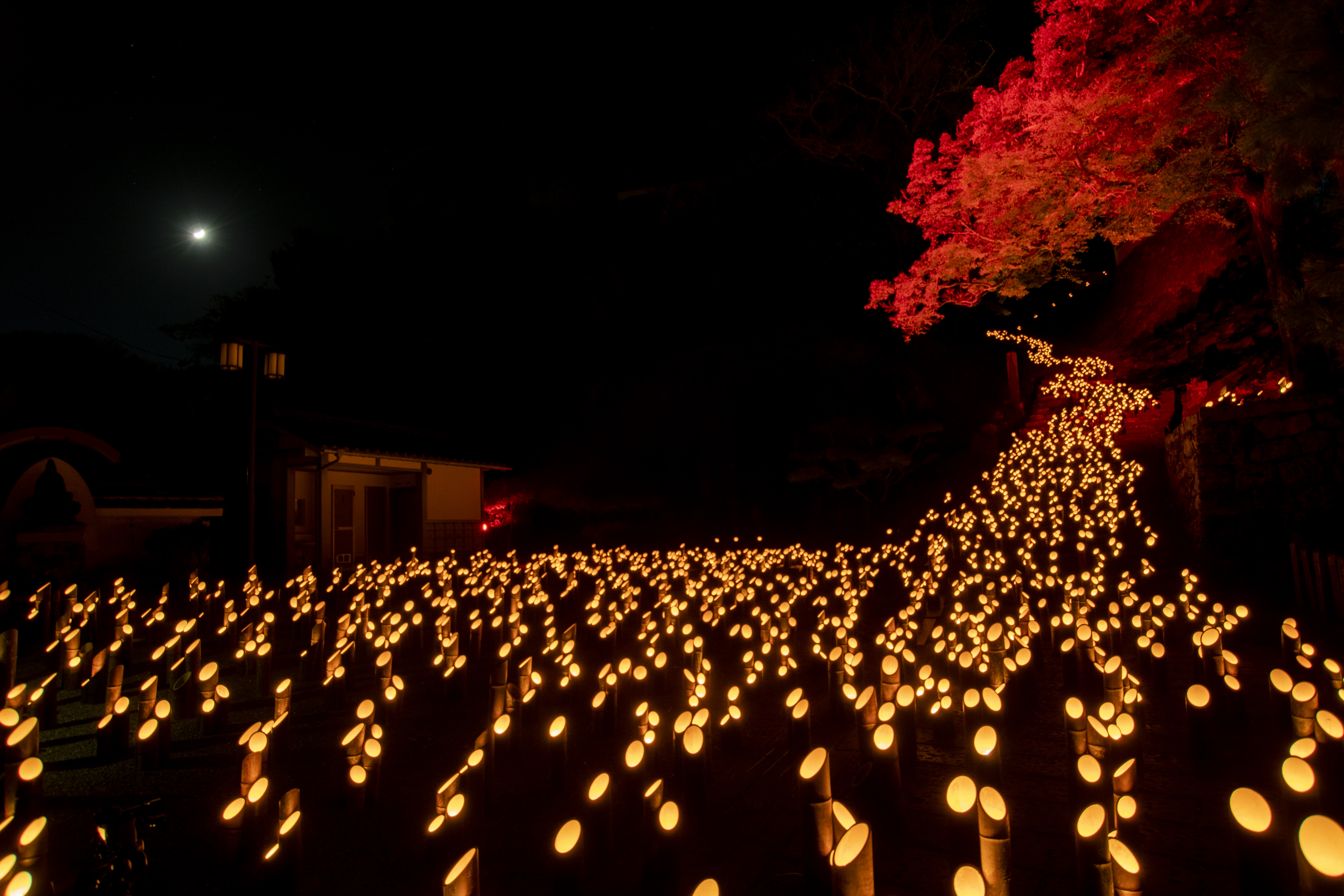 大分県 たけた竹灯籠「竹楽」 | 制作実績 | Yukiko Tonami 利波 由紀子